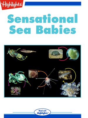 cover image of Sensational Sea Babies